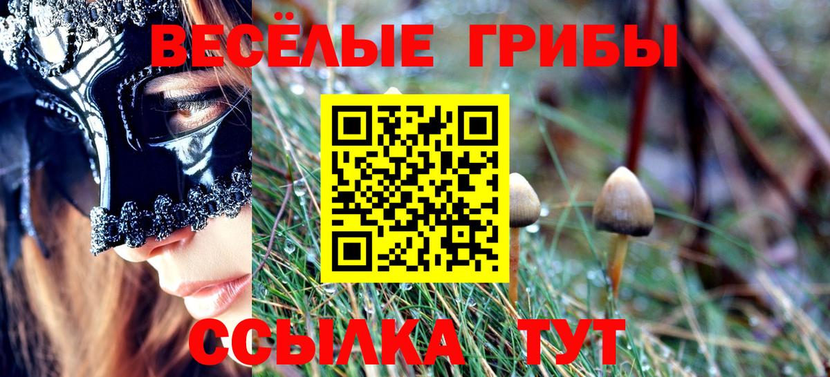 дарнет шоп  Вход с VPN  Бахчисарай  Псилоцибиновые грибы MAGIC MUSHROOMS 
