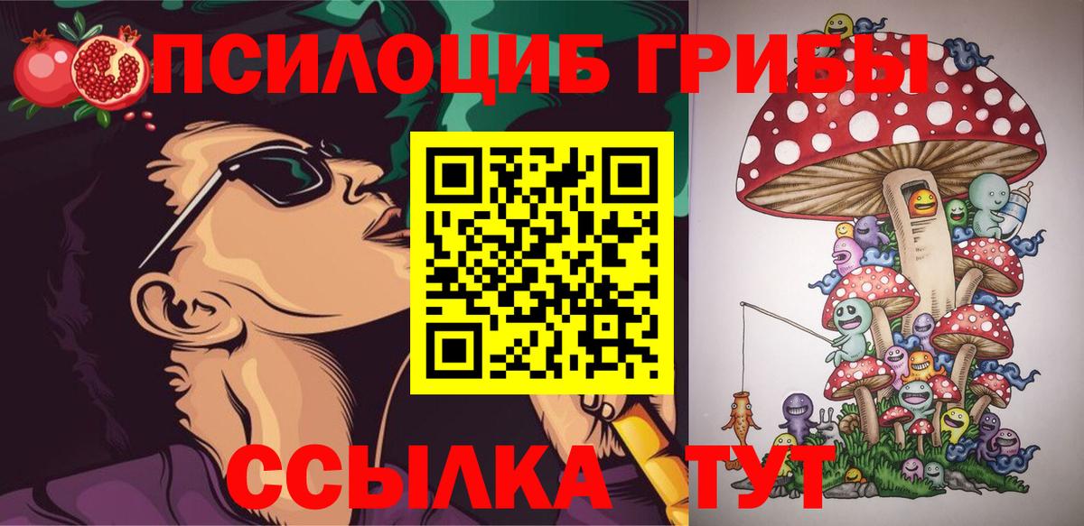 Псилоцибиновые грибы Cubensis Бахчисарай